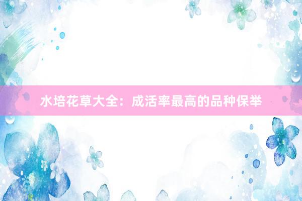 水培花草大全：成活率最高的品种保举