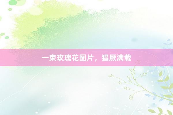 一束玫瑰花图片，猖厥满载